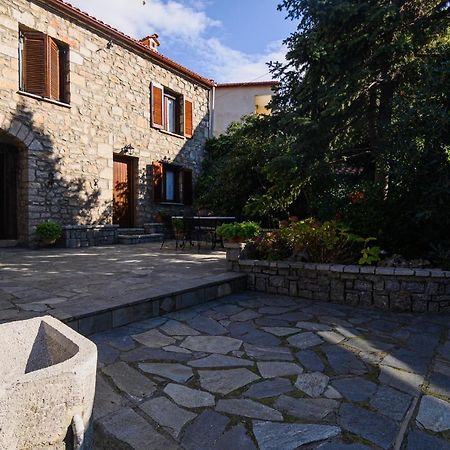 Guesthouse Karahalios Polydrossos Eksteriør billede