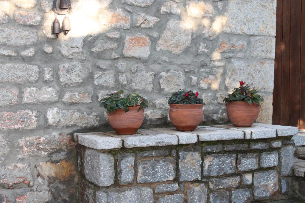 Guesthouse Karahalios Polydrossos Eksteriør billede
